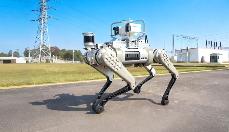 AI Remote Inspection